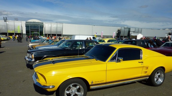 ford mustangs